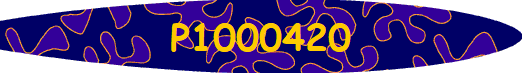 P1000420